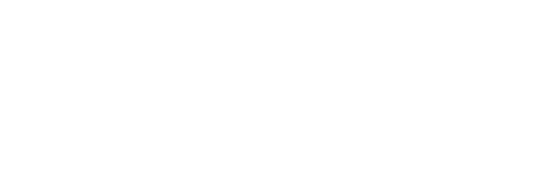 WELLNESS LABS LLC
